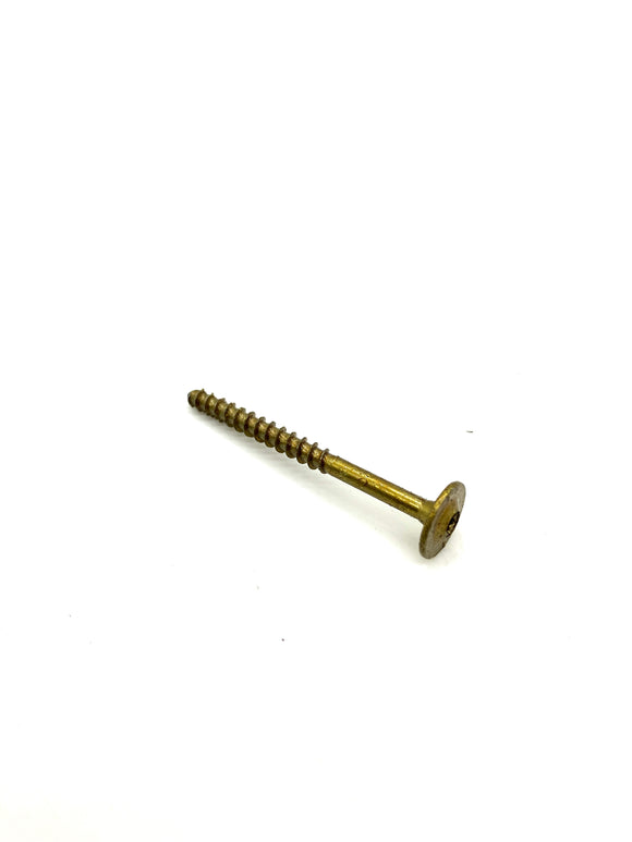 Electronic Ignition control module Screw
