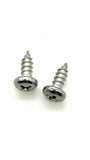 Fender Tag Screws Stainless Pair